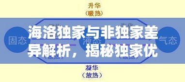 海洛独家与非独家差异解析，揭秘独家优势与独特之处