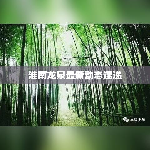 淮南龙泉最新动态速递