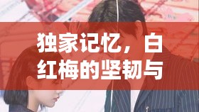 独家记忆，白红梅的坚韧与美丽传奇