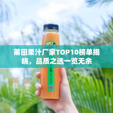 莆田果汁厂家TOP10榜单揭晓，品质之选一览无余