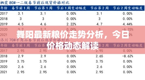 舞阳最新粮价走势分析，今日价格动态解读