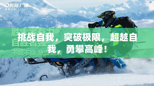 屦贱踊贵