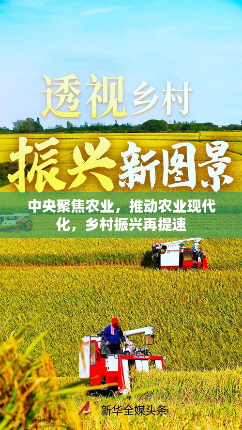 富贵凝香