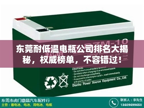 东莞耐低温电瓶公司排名大揭秘，权威榜单，不容错过！