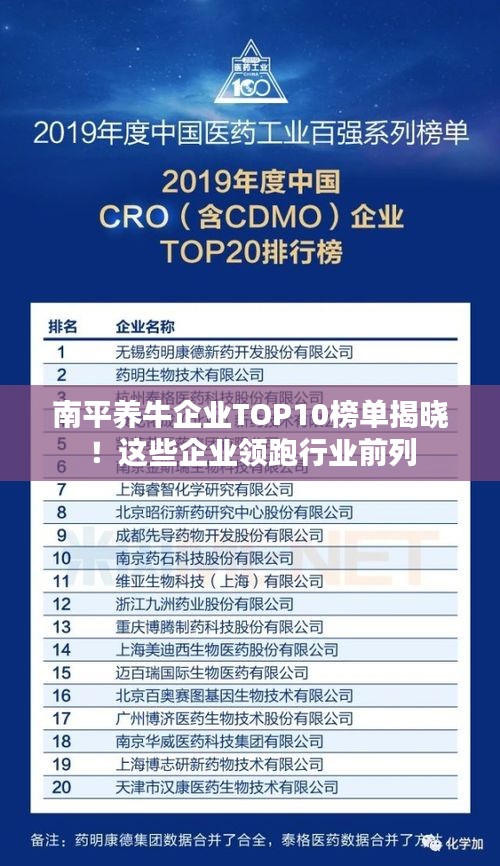 南平养牛企业TOP10榜单揭晓！这些企业领跑行业前列