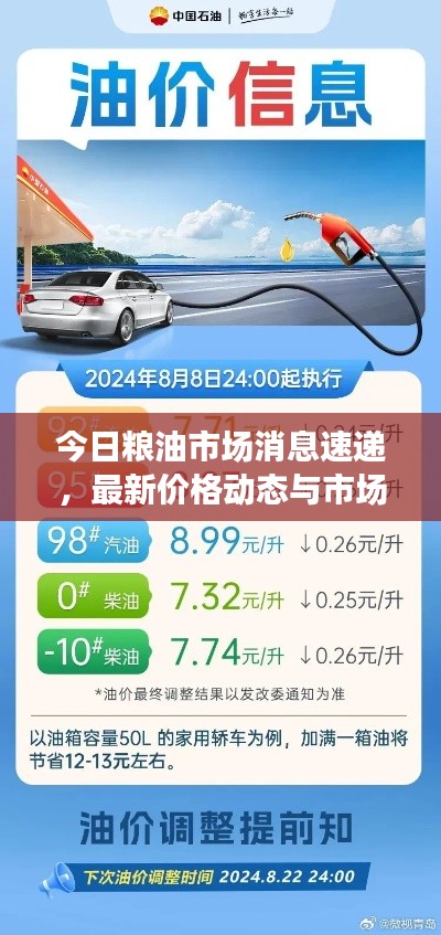 今日粮油市场消息速递，最新价格动态与市场走势分析