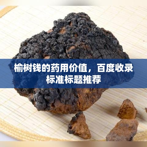 榆树钱的药用价值，百度收录标准标题推荐