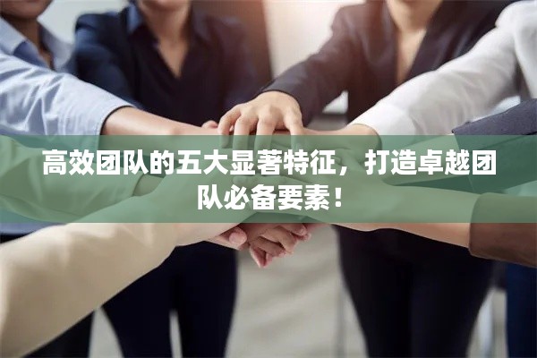 高效团队的五大显著特征，打造卓越团队必备要素！