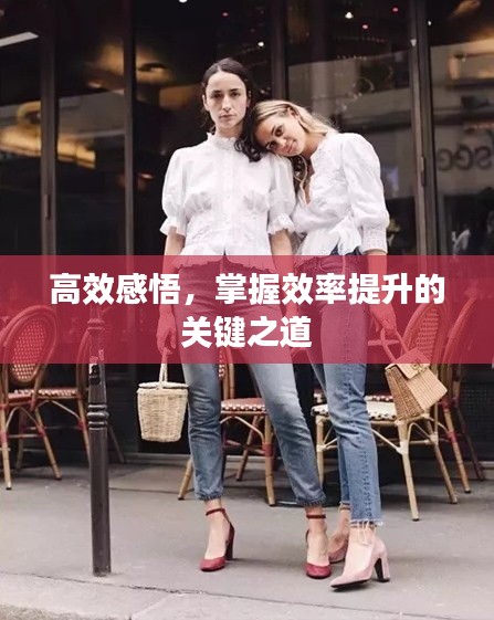 高效感悟，掌握效率提升的关键之道