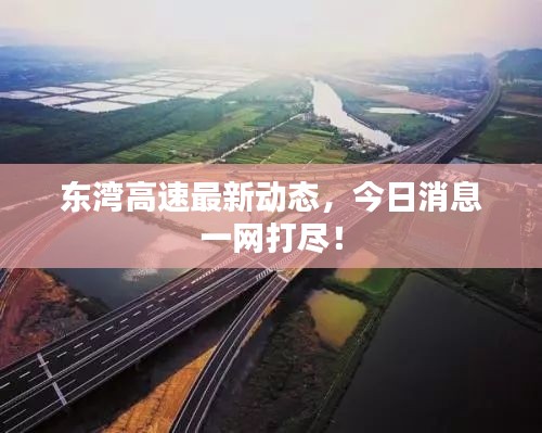 东湾高速最新动态，今日消息一网打尽！