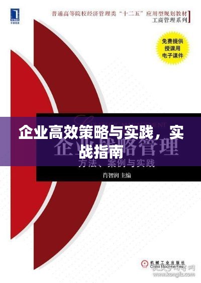 企业高效策略与实践，实战指南