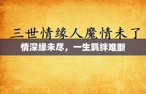 情深缘未尽，一生羁绊难断