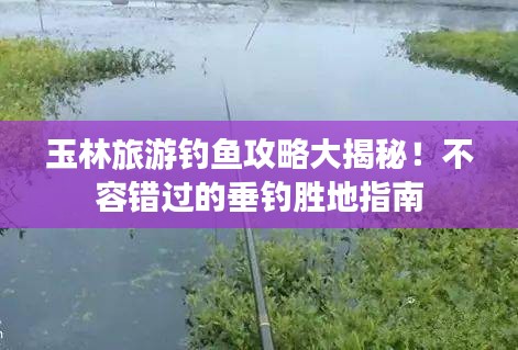 玉林旅游钓鱼攻略大揭秘！不容错过的垂钓胜地指南