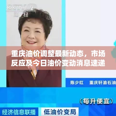 质而不俚