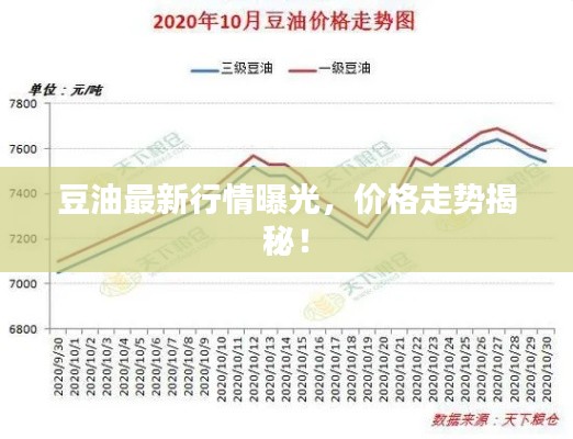 豆油最新行情曝光，价格走势揭秘！