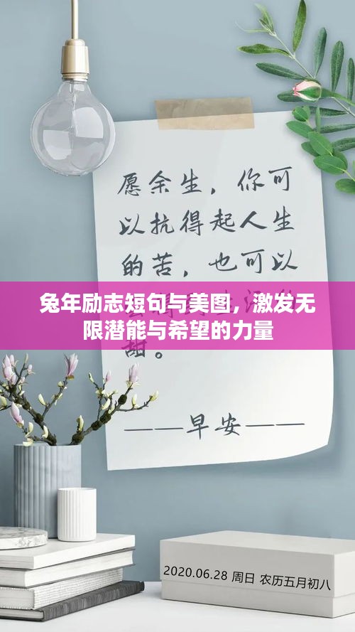 衣不重采