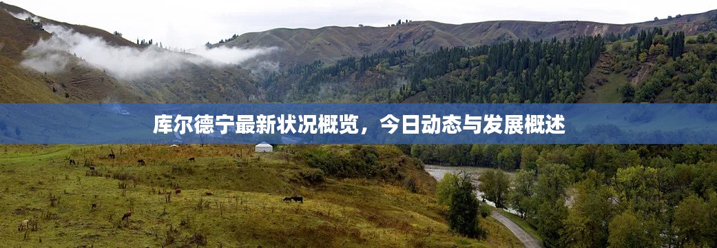 库尔德宁最新状况概览，今日动态与发展概述