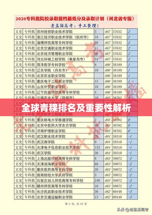 全球青稞排名及重要性解析