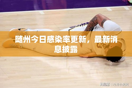 随州今日感染率更新，最新消息披露