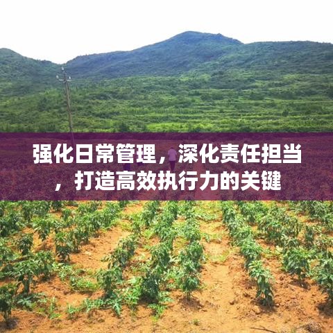 强化日常管理，深化责任担当，打造高效执行力的关键