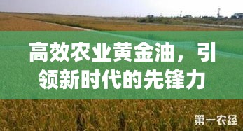 高效农业黄金油，引领新时代的先锋力量，开启农业新篇章！