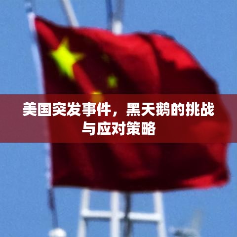 美国突发事件，黑天鹅的挑战与应对策略