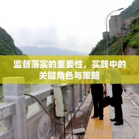 监督落实的重要性，实践中的关键角色与策略