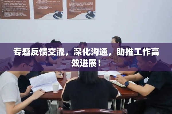 专题反馈交流，深化沟通，助推工作高效进展！