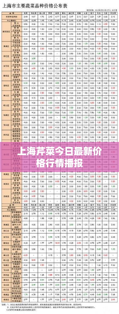 上海芹菜今日最新价格行情播报