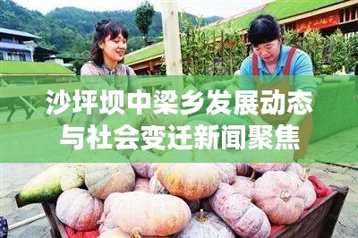 沙坪坝中梁乡发展动态与社会变迁新闻聚焦