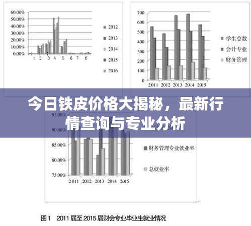 今日铁皮价格大揭秘，最新行情查询与专业分析
