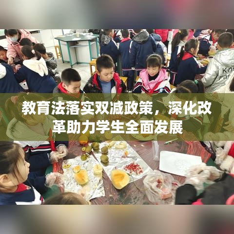 教育法落实双减政策，深化改革助力学生全面发展