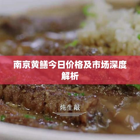 南京黄鳝今日价格及市场深度解析