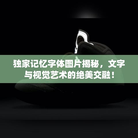 踊贵屦贱