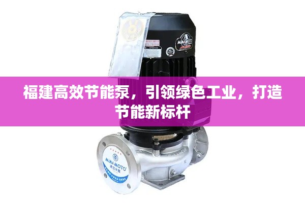 福建高效节能泵，引领绿色工业，打造节能新标杆