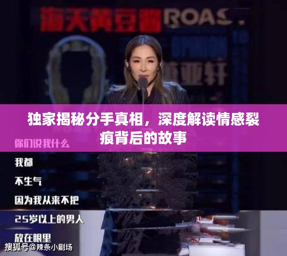 独家揭秘分手真相，深度解读情感裂痕背后的故事