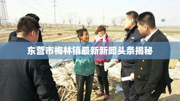 东营市梅林镇最新新闻头条揭秘