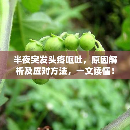 半夜突发头疼呕吐，原因解析及应对方法，一文读懂！