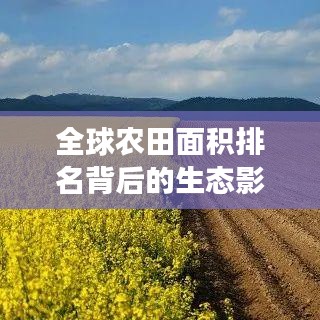全球农田面积排名背后的生态影响与农业格局变迁