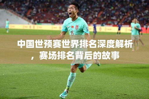 中国世预赛世界排名深度解析，赛场排名背后的故事
