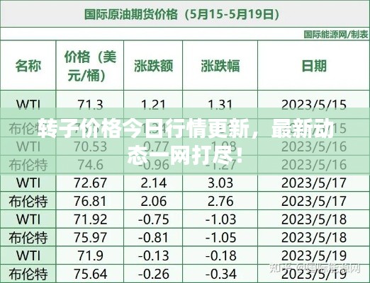 转子价格今日行情更新，最新动态一网打尽！