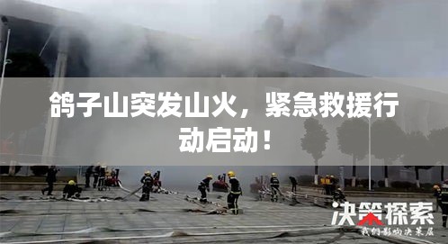 鸽子山突发山火，紧急救援行动启动！