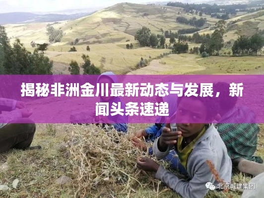揭秘非洲金川最新动态与发展，新闻头条速递