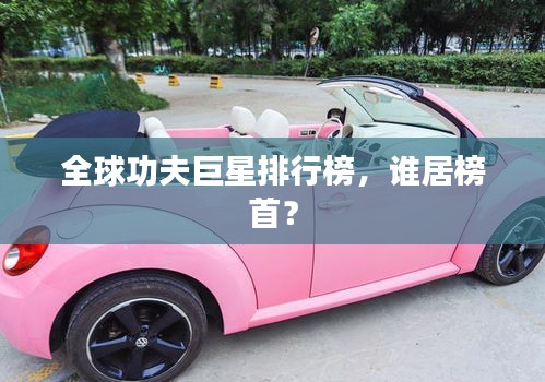 全球功夫巨星排行榜，谁居榜首？