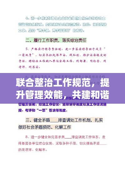联合整治工作规范，提升管理效能，共建和谐社会