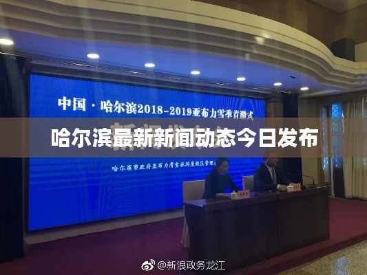 哈尔滨最新新闻动态今日发布