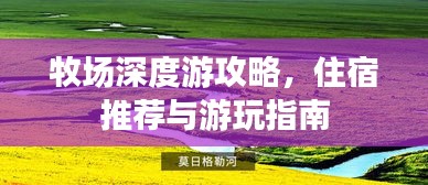 牧场深度游攻略，住宿推荐与游玩指南