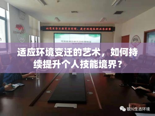 适应环境变迁的艺术，如何持续提升个人技能境界？
