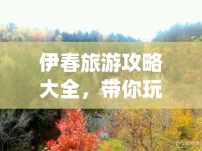 伊春旅游攻略大全，带你玩转这座美丽城市！