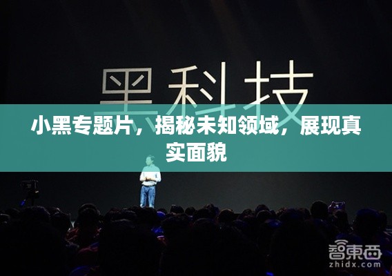 淡泊以明志，宁静以致远